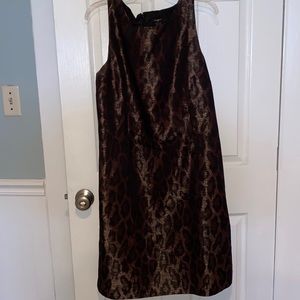 Leopard Shift Dress from Ann Taylor